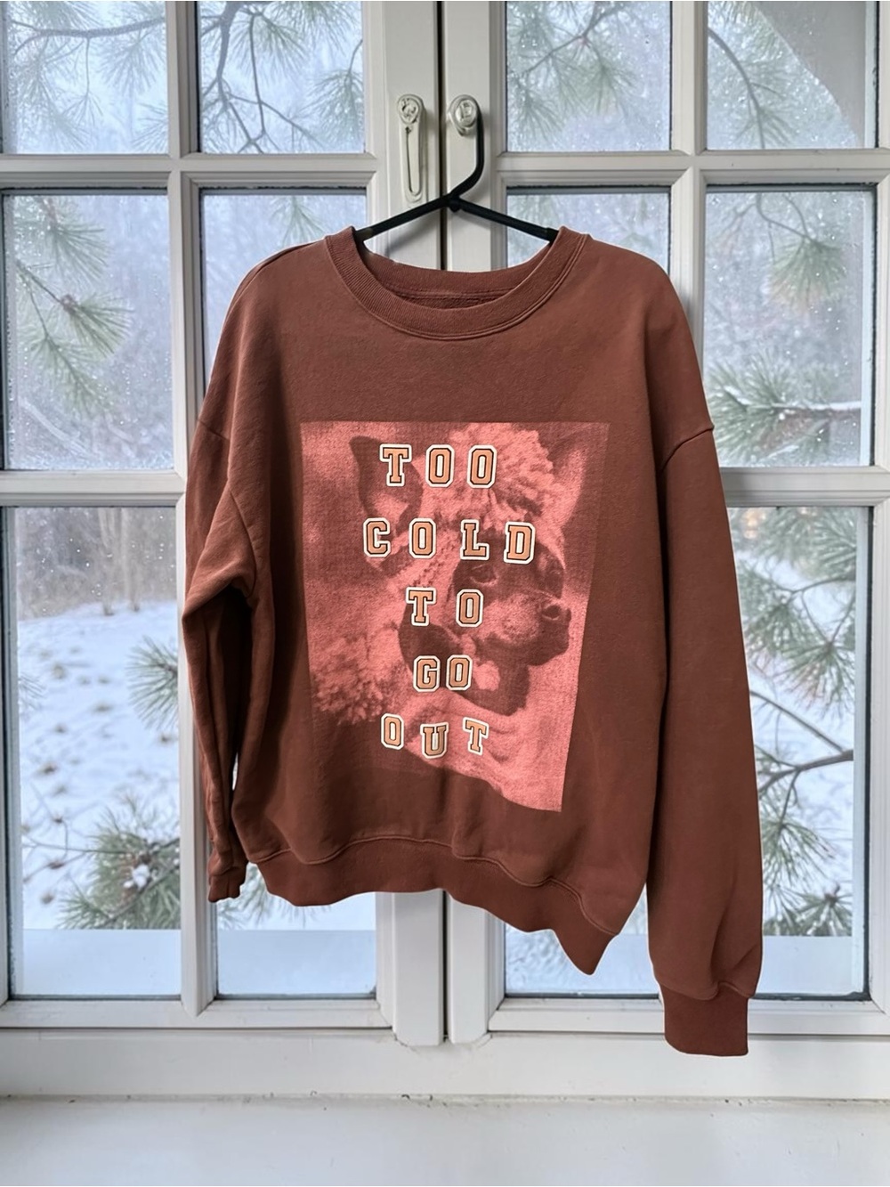 Offline by Aerie Chihuahua Graphic Cozy Sweatshirt. Maroon Red. Small